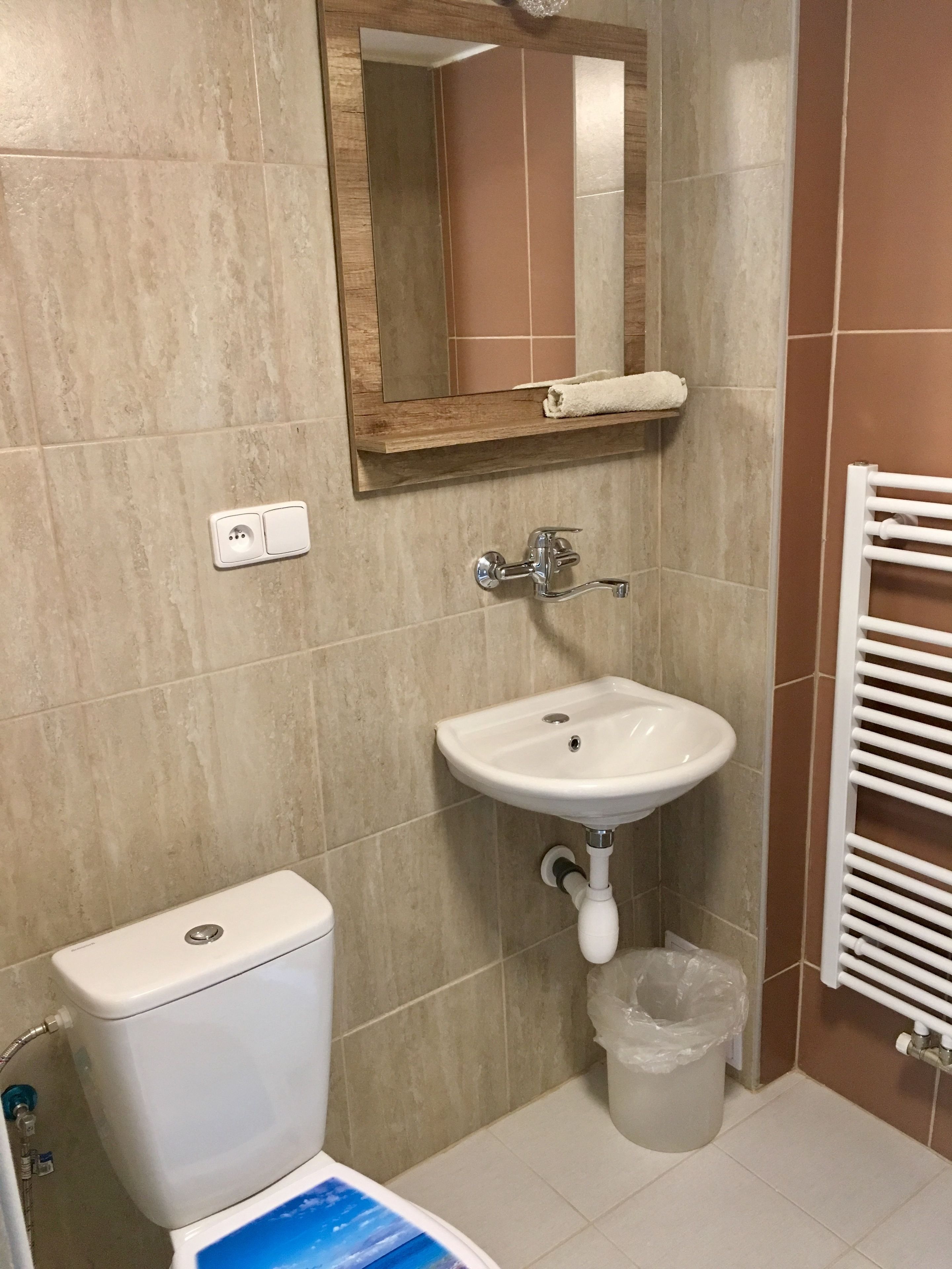 Un baño con inodoro, lavamanos, espejo y toallero.
