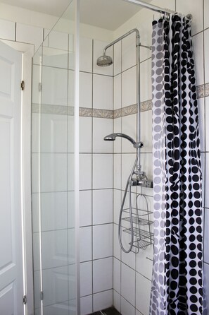 Douche de la salle de bain