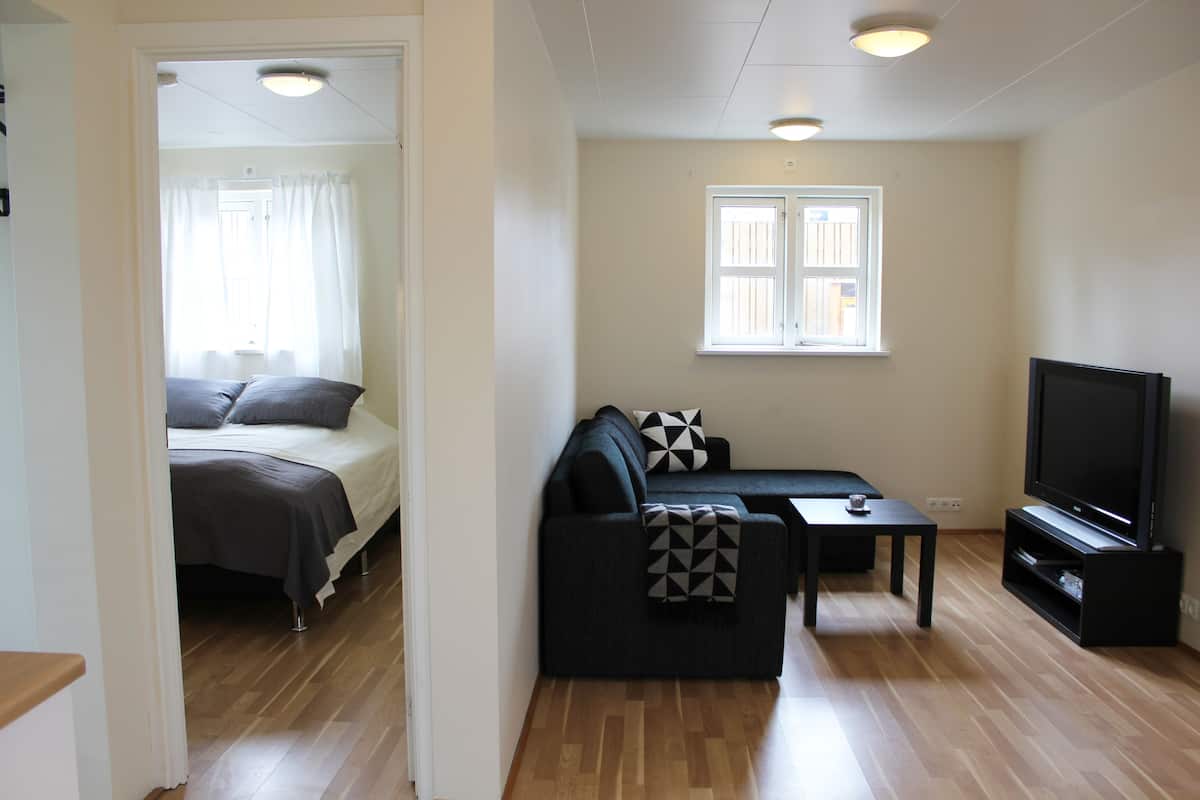 Een woonkamer met een bed, een bank, een televisie en een raam.