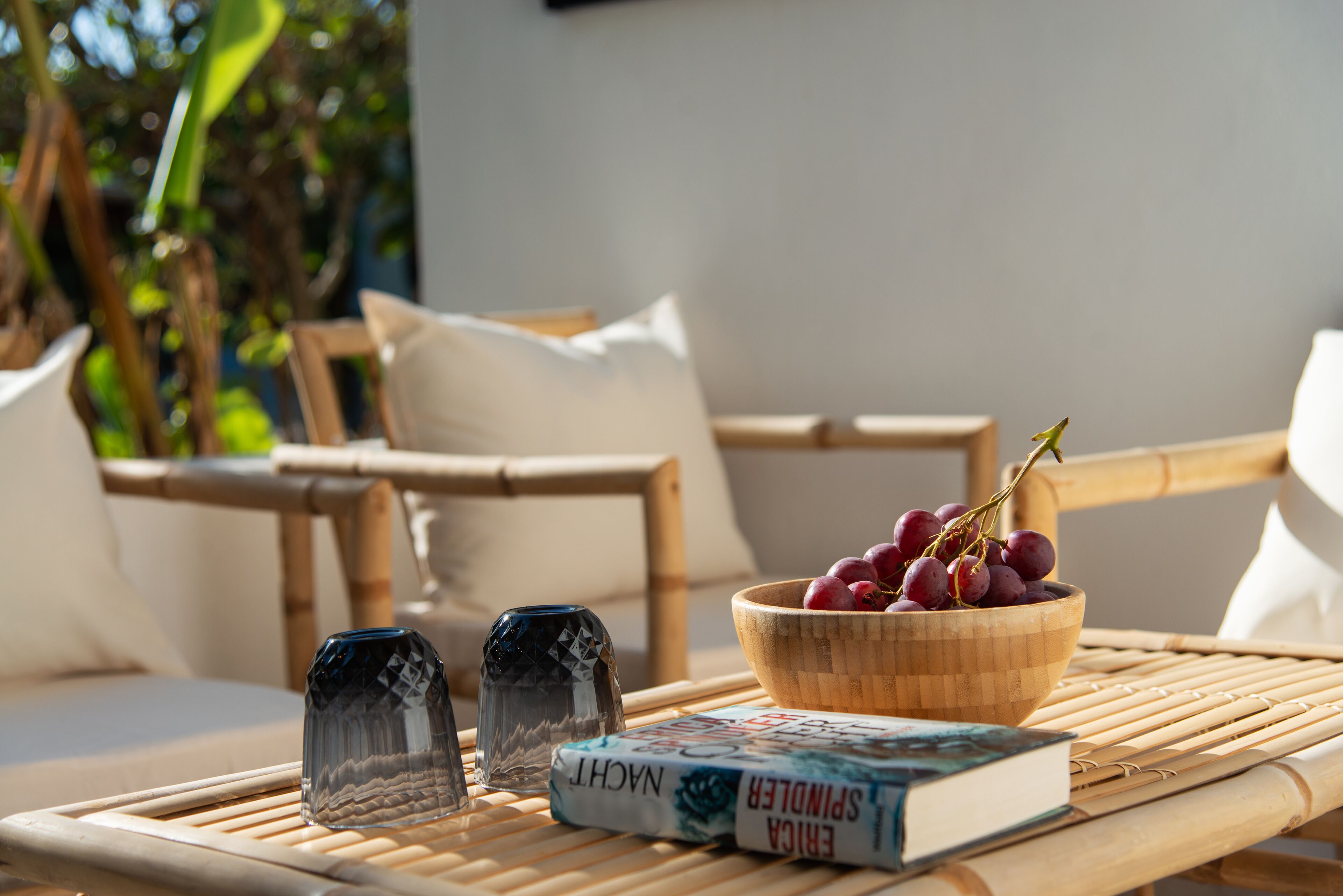 A wicker table with a bowl of grapes, two salt shakers, and a book titled "NIGHT SPIDER".