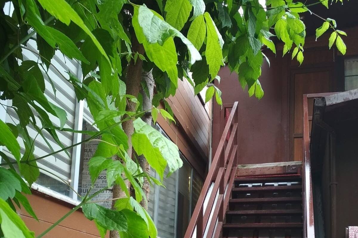 Economy Double or Twin Room, Valley View | Balkoni