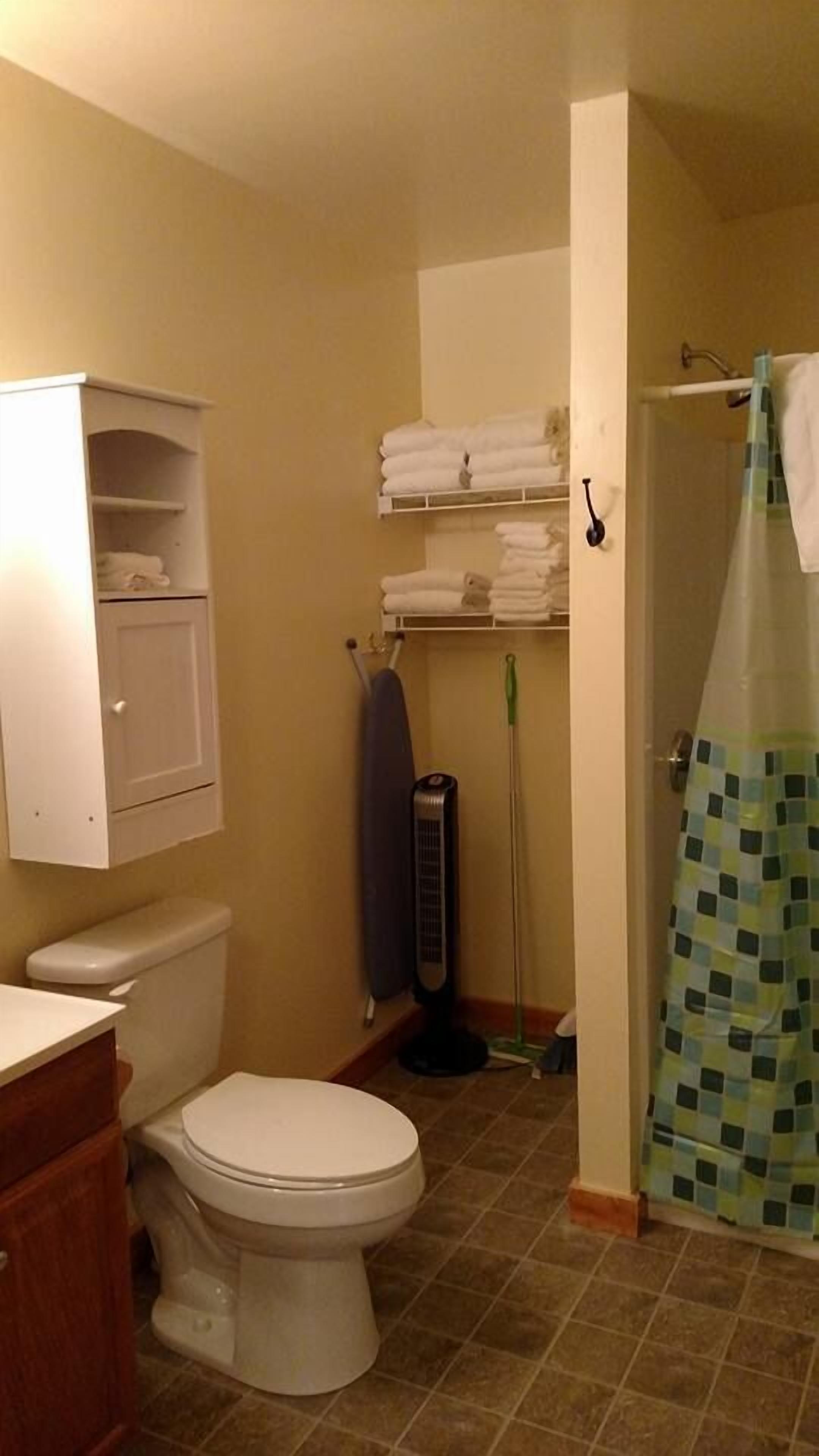 Un baño con inodoro, un armario, toallero y cortina de ducha.