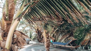 Unclassified image, 3 of 74, button - Posada Lamar Tulum Beach Front and Pool (Tulum)