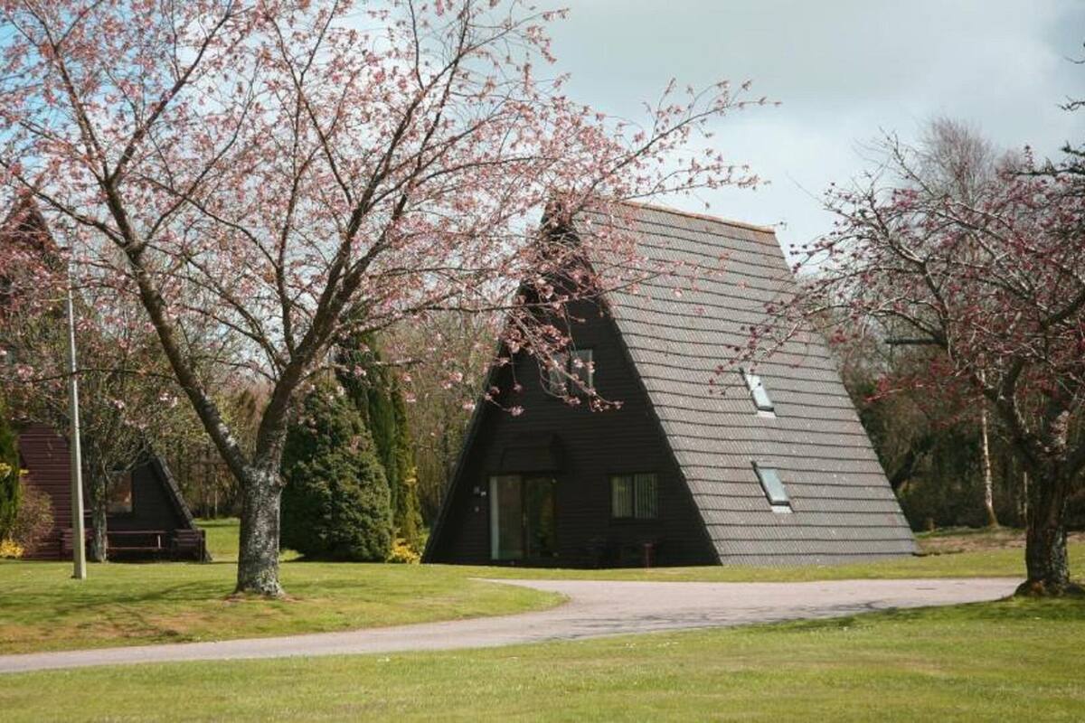 Cabin, 1 Bedroom | Premium bedding, WiFi (free), individually decorated