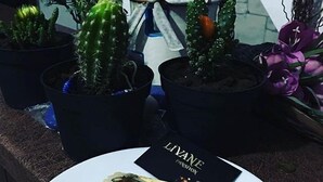 الطعام والشراب