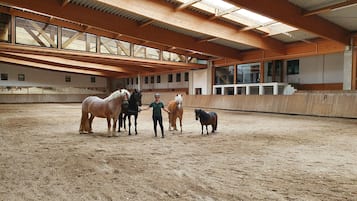 Un picadero interior con caballos y una persona.