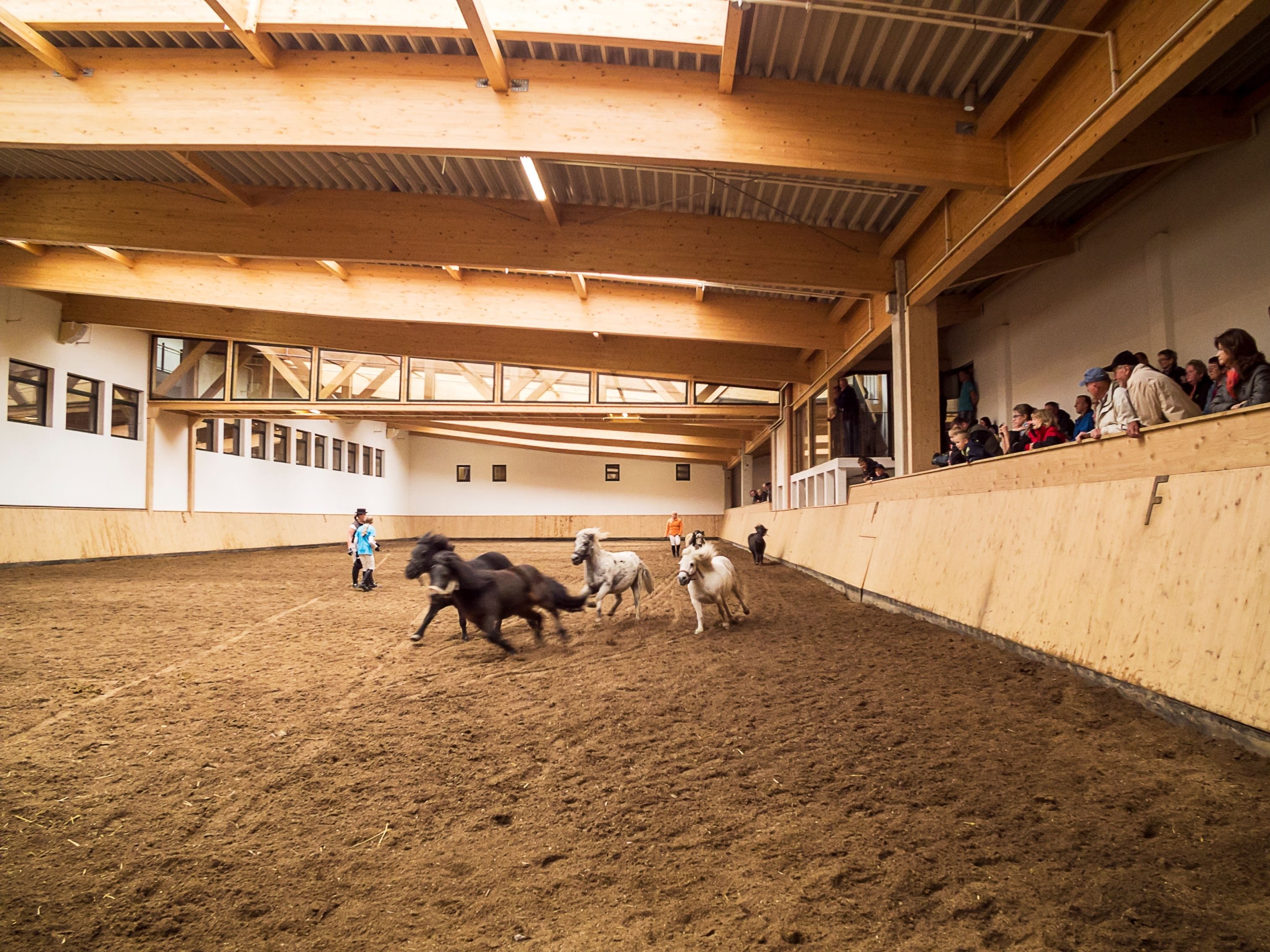 An indoor arena with a dirt floor, wooden beams on the ceiling, and spectators on the upper level.