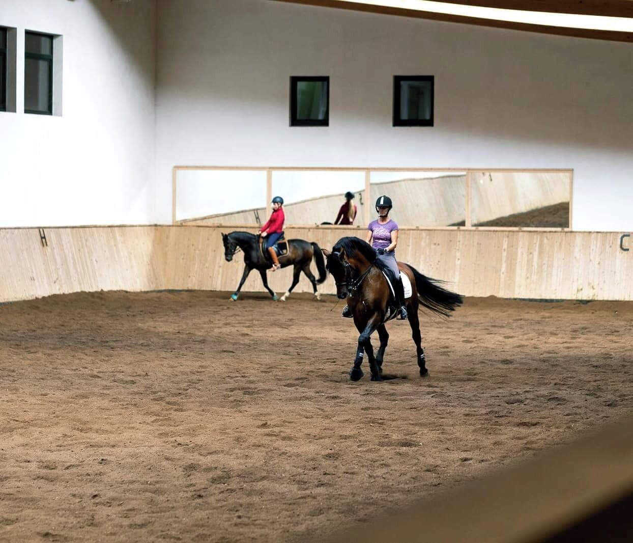 Una arena cubierta para equitación con suelo de tierra, barreras de madera y una pared blanca con ventanas.