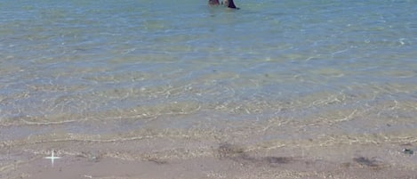 På stranden, vit sandstrand, parasoller och strandhanddukar