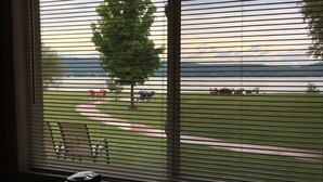 A room with a large window overlooking a grassy area with a tree and a body of water. - The Beach Inn Motel (Munising)
