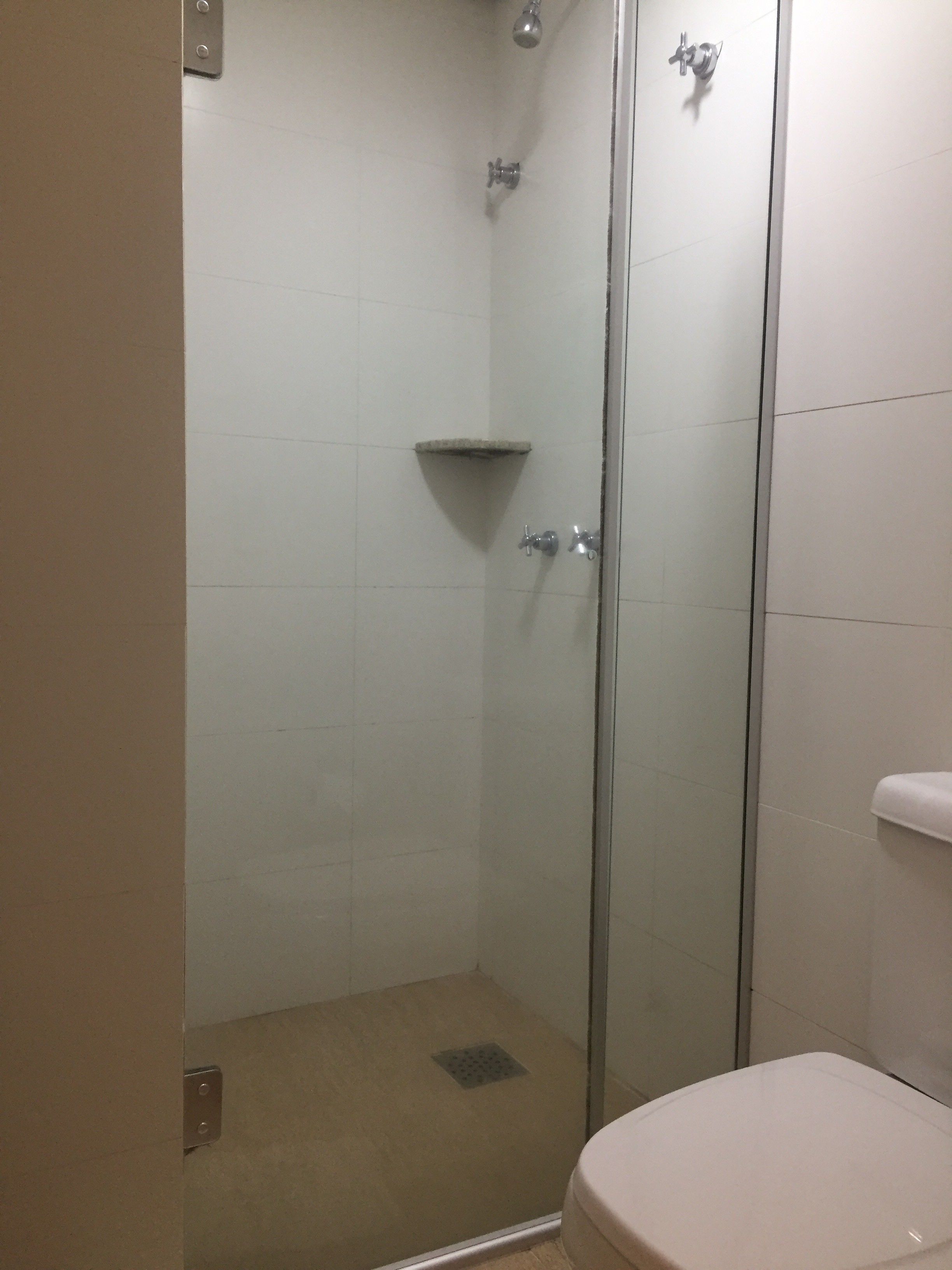 A small, enclosed shower area with a glass door, a toilet, and a shelf above the shower.