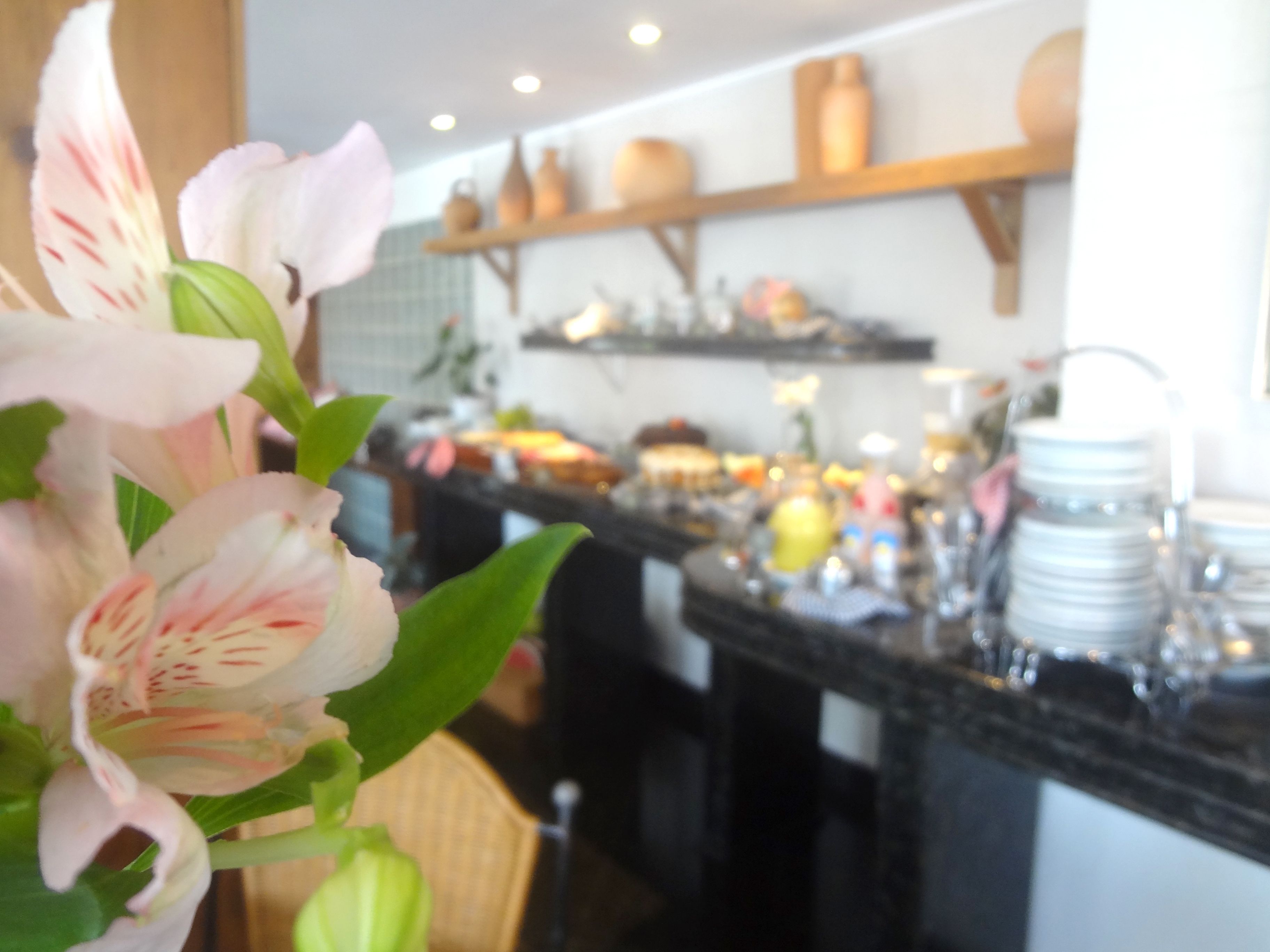 Foto - Novo Hamburgo Business Hotel