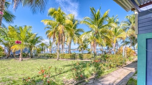 A tropical garden with palm trees and a pathway leading to a building.