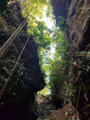 A narrow forested path with rocky walls and dense foliage.