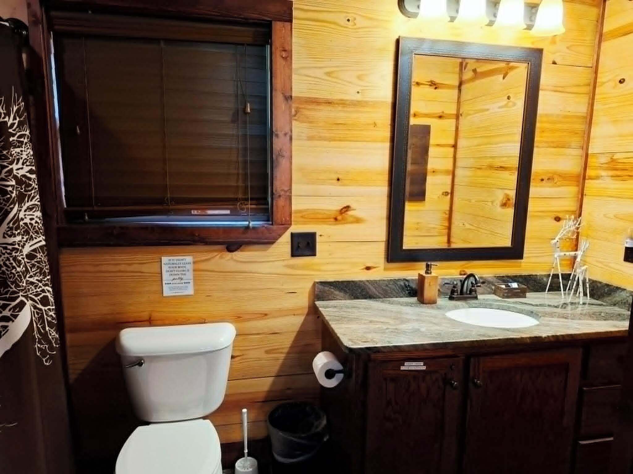 Baño de cabaña de madera con inodoro, lavamanos, espejo y ventana.