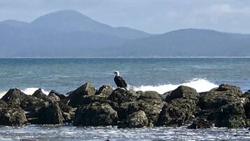 On the beach, beach towels