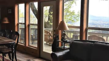 TV, fireplace, video-game console, Netflix