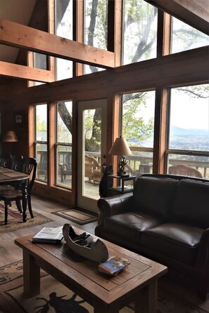 TV, fireplace, video-game console, Netflix