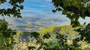 Vista desde la propiedad