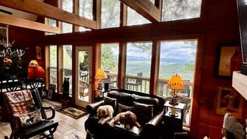 TV, fireplace, video-game console, Netflix