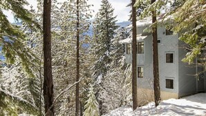 A multi-story building surrounded by snow-covered trees.