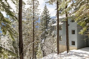 Exterior - Crow`s Nest - Fun Treetop Design (Leavenworth)