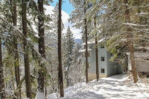 A snow-covered forest with tall trees and a building with multiple windows.