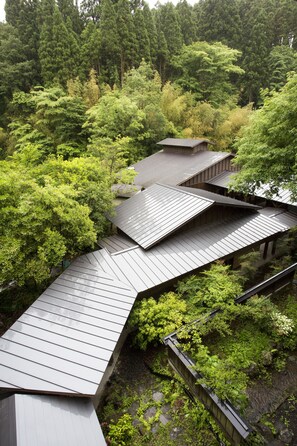 View from property - Kurokawa Onsen Ryokan Ichinoi (Minamioguni)