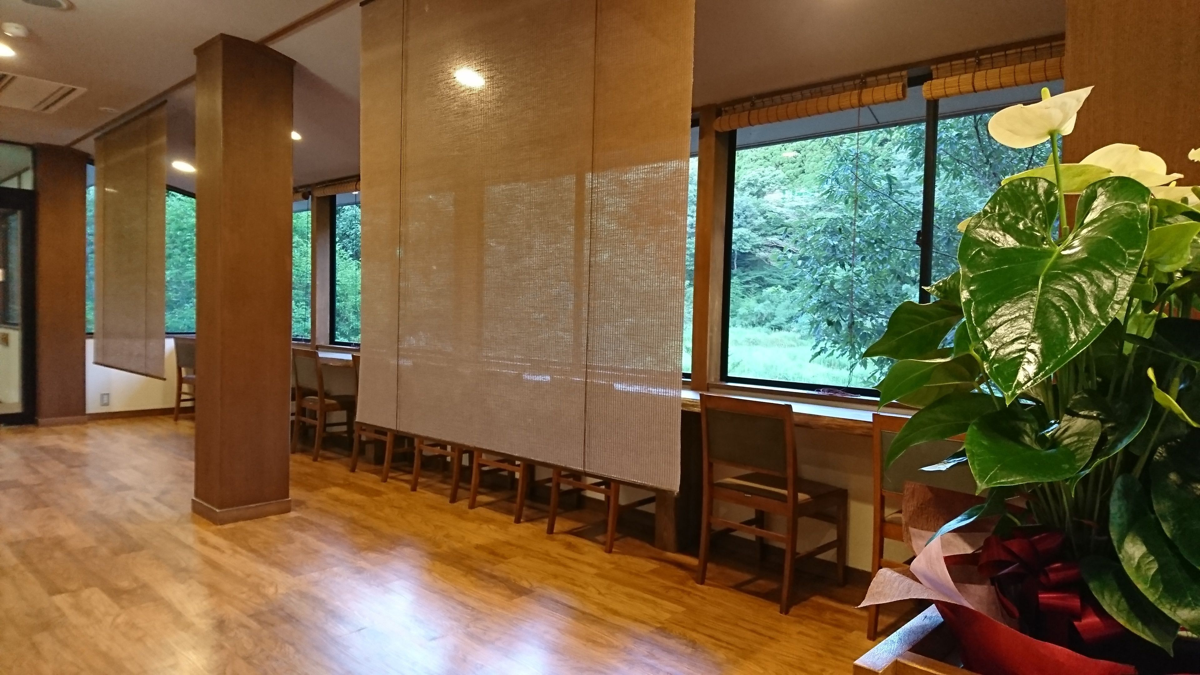 A room with wooden flooring, a large window with a view of greenery, a table with chairs, and a large plant with a red ribbon.