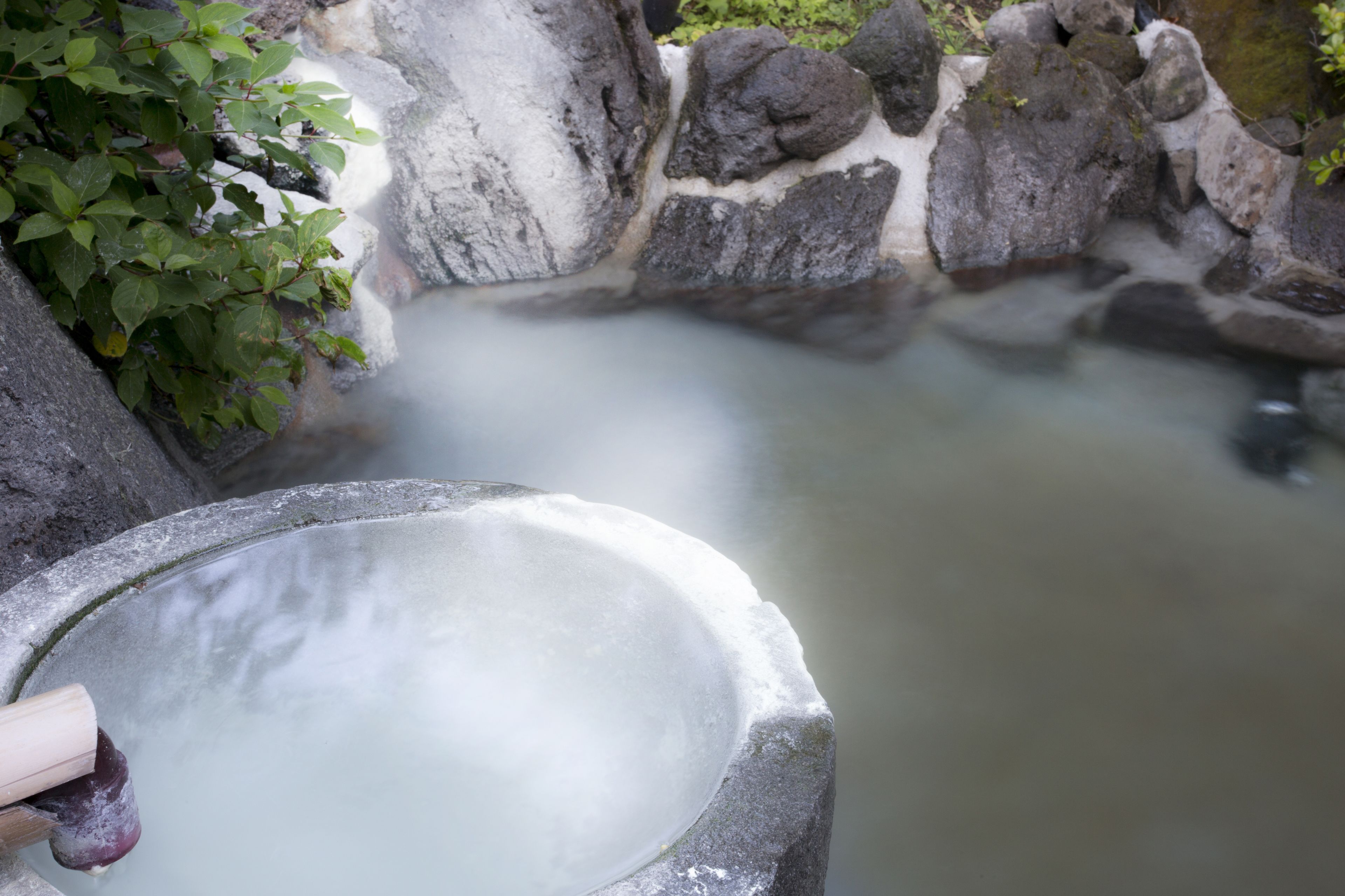 Un cuenco de piedra con agua, rodeado de rocas y follaje.