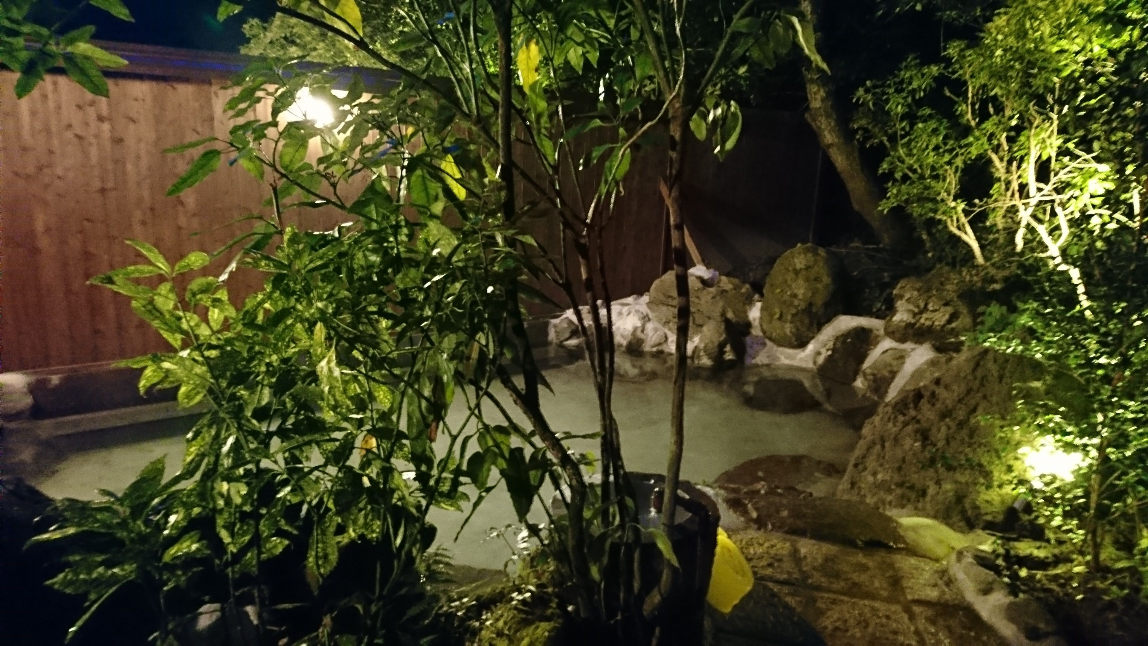 A nighttime garden with a pond, rocks, and a wooden fence.