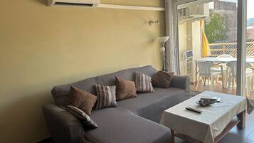 Télévision, lecteur de DVD, livres