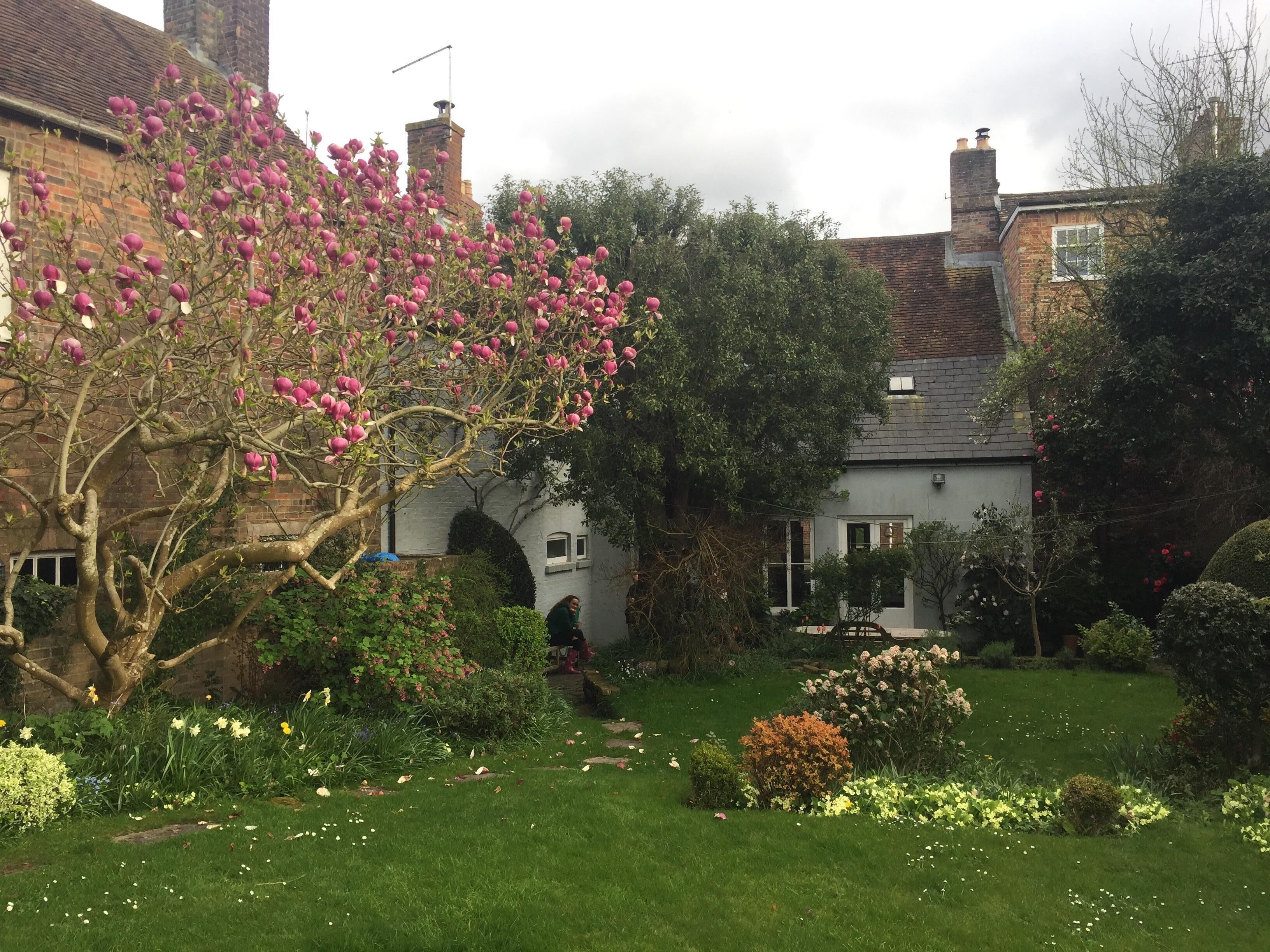 Un giardino con diverse piante e fiori, un edificio in mattoni con un camino e un cielo sereno.