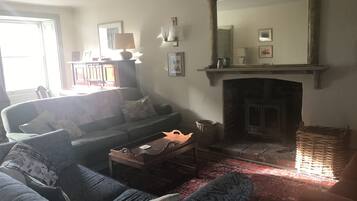 Una Smart TV, una chimenea, un reproductor de DVD