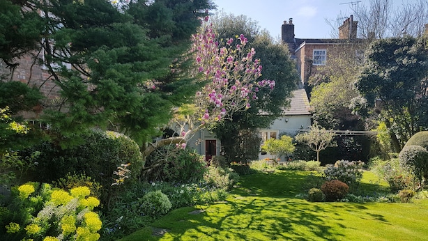 A well-maintained garden with a variety of plants and a lawn in front of a house with a red door.