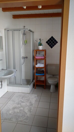 Bathroom features a glass-enclosed shower, sink, and toilet.