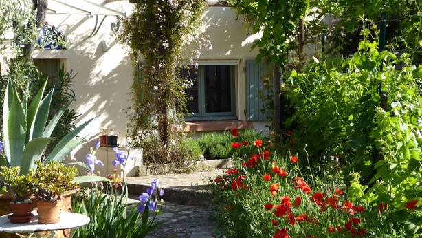 A garden pathway with potted plants and red flowers. - Studio meublé de vacances, very quiet in nature and culture ancient and modern (Sanilhac-Sagriès)