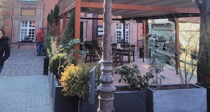 Colmar center-Heart Little Venice kodikas 8P kotiin luokiteltu 3 * pysäköinti Wifi TV-ohjaamo