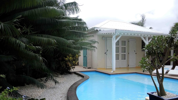 A swimming pool with a curved edge, surrounded by a gravel area and potted plants.