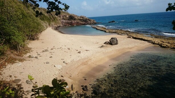 A beach with clear water, a sandy path, and rocky outcrops. - My cabin-Star Trail (POINTE NOIRE)