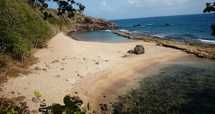 Mi cabaña-Rastro de estrella