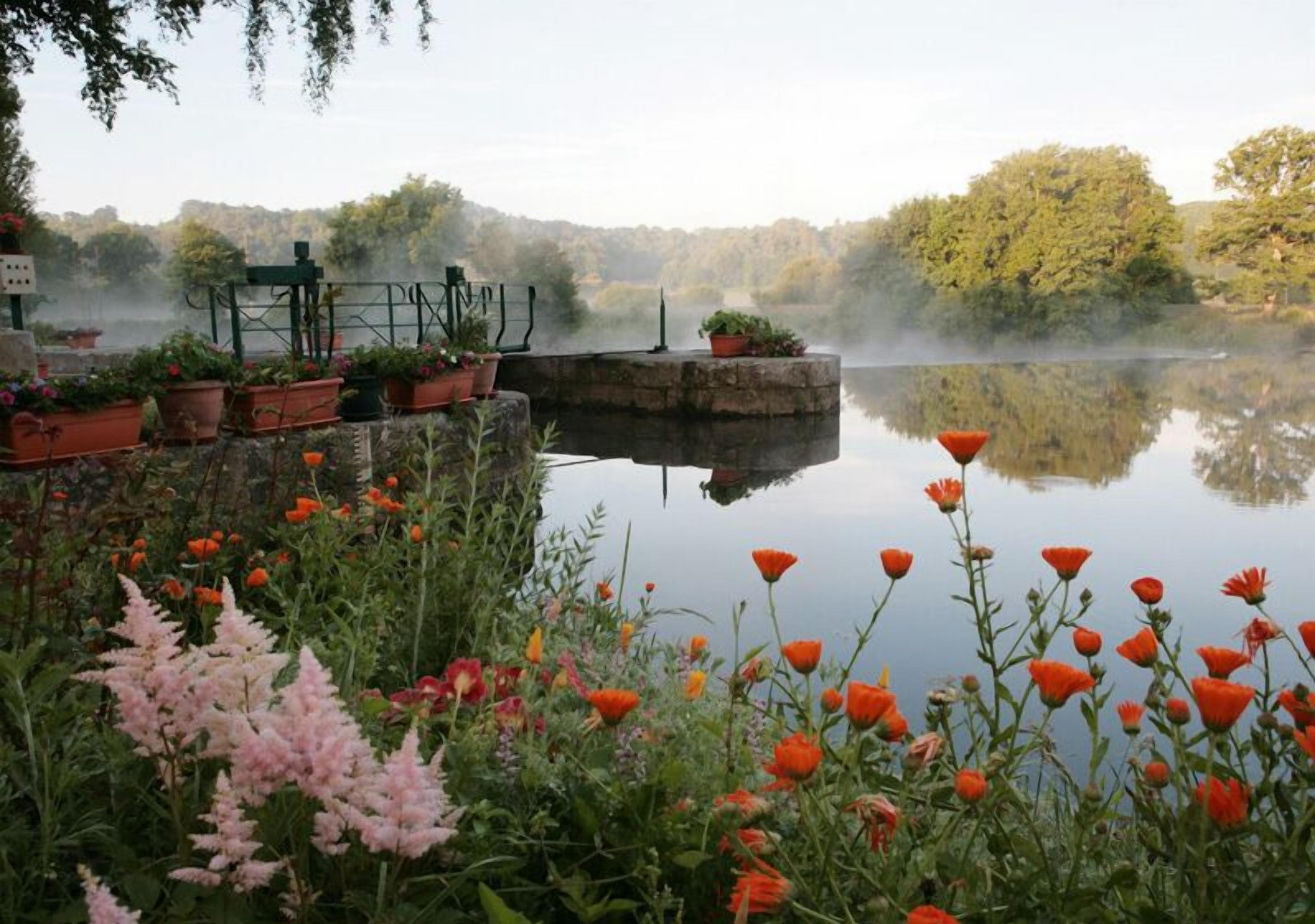 Un giardino tranquillo sul lago, con piante da fiore in vasi, una costruzione in pietra e uno sfondo avvolto nella nebbia.