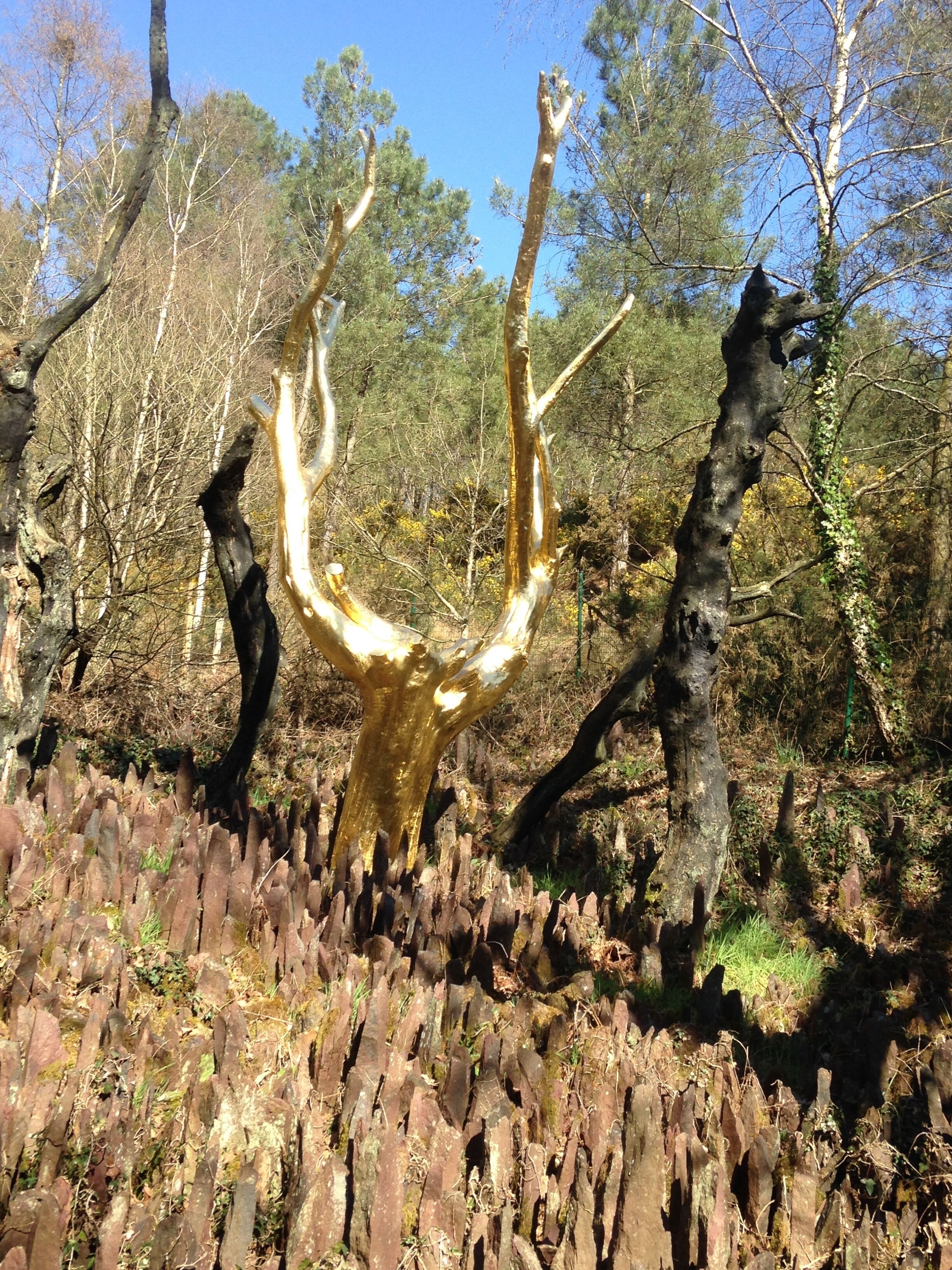 A forest with a prominent dead tree in the center.