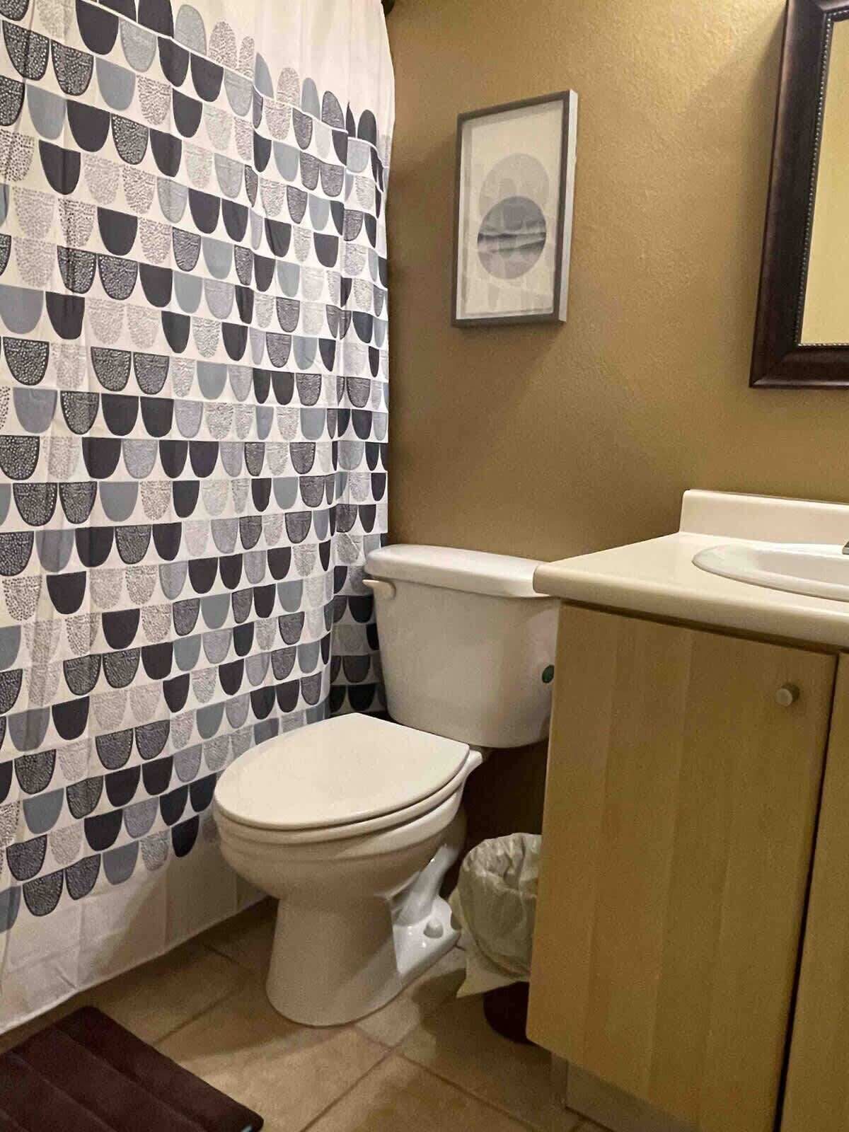 A bathroom with a toilet, a sink, a cabinet, a shower curtain with a geometric pattern, and a framed picture on the wall.
