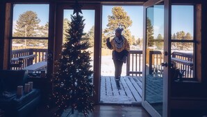 A wooden cabin with a large window, a Christmas tree, and a bench.
