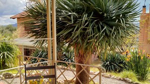 Ein überdachter Patio-Bereich mit Tisch und Stühlen, umgeben von einem Garten mit verschiedenen Pflanzen und einer Palme.