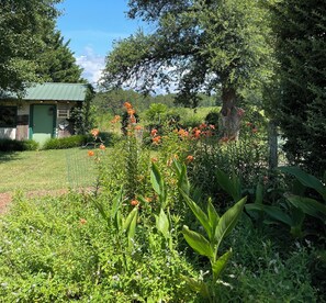 Property grounds - Home Away from Home 2 BR Pets & WiFi Rutherfordton NC 28139 near Rails to Trails (Rutherfordton)