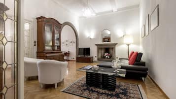 电视、壁炉、书、音乐库