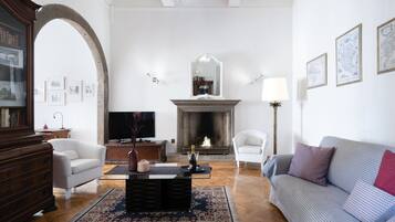 TV, fireplace, books, music library