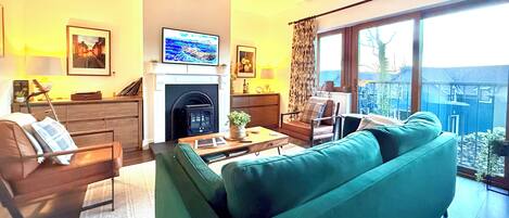 TV, fireplace, DVD player, books